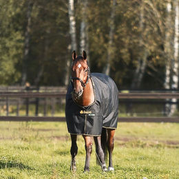 Produktbild von Bucas Irish Turnout Weidedecke 250g - 250 g