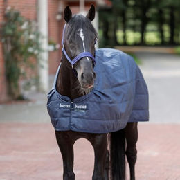 Produktbild von Bucas Liner 100g - 100 g