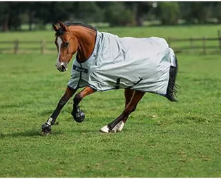 Bucas Power Turnout Light Big Neck 0g SD - silver – Bild 1 von 6