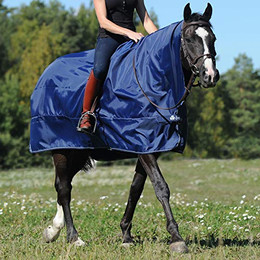 Produktbild von Bucas Rain Protector - navy