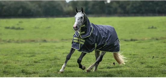Produktbild von Bucas Regendecke Oasis Turnout 100+Neck Set 145 cm Dark Grey/Lime - 1 Stk.