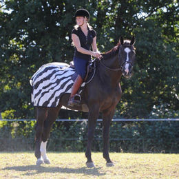 Produktbild von Bucas Riding Rug Zebra