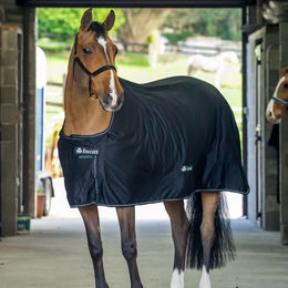 Produktbild von Bucas Shamrock Power Abschwitz- und Stalldecke black/silver