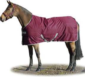 Produktbild von Bucas Shamrock Power Exclusive 0g