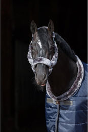 Produktbild von Bucas Show-Line Halfter