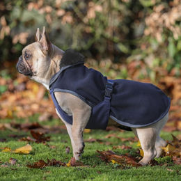 Produktbild von Bucas Show-Line Hundedecke