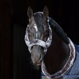 Produktbild von Bucas Show-Line Vollfell-Halfter