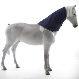 Produktbild von Bucas Smartex Turnout Combi Neck 0g - blue - Halsteil