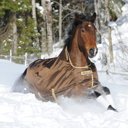 Produktbild von Bucas Smartex Turnout Extra Classic 300g - chocolate