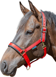 Produktbild von Bucas Sports Line Comfort Halfter