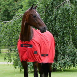 Produktbild von Bucas Sports Line Cooler 0g