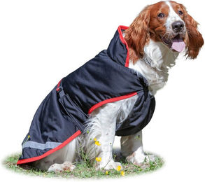 Produktbild von Bucas Sports Line Dog Cooler