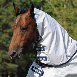 Bucas Sun Shower Combi Neck Halsteil silber – Bild 1 von 7