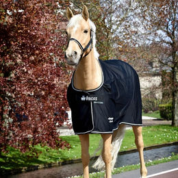 Produktbild von Bucas Therapy Cooler Limited Edition