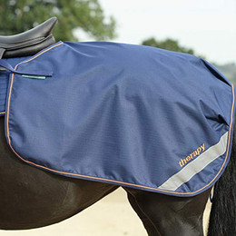 Produktbild von Bucas Therapy Quarter Sheet