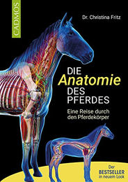 Produktbild von Buch Die Anatomie des Pferdes