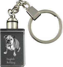 Produktbild von Bulldogge, Englische Bulldogge, Britische Bulldogge - Kristall-Schlüsselanhänger mit Hundefoto, beleuchteter Schlüsselanhänger, einzigartiges Geschenk der Marke Art-Dog transparent