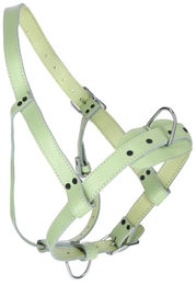 Bullenhalfter aus Leder – Bild 1 von 3