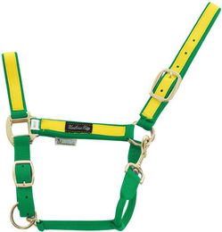 Produktbild von Bunt nylon Halfter für Pferde Umbria Equitazione