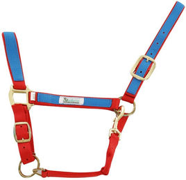 Produktbild von Bunt nylon Halfter für Pferde Umbria Equitazione