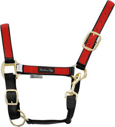 Produktbild von Bunt nylon Halfter für Pferde Umbria Equitazione