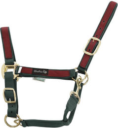 Produktbild von Bunt nylon Halfter für Pferde Umbria Equitazione