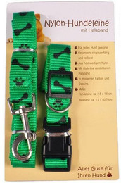 Produktbild von BURI Nylon-Hundeleine mit verstellbarem Halsband rot