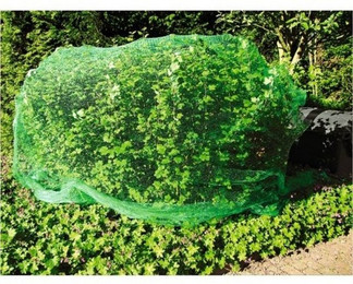 Produktbild von BURI Schutznetz Grüner Jan Vogelschutznetz 8x8 Meter
