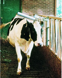 Bürste für Rinder Boxenlaufstall Vink – Bild 1 von 2