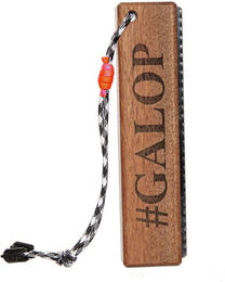 Bürste Galop Wear – Bild 1 von 4