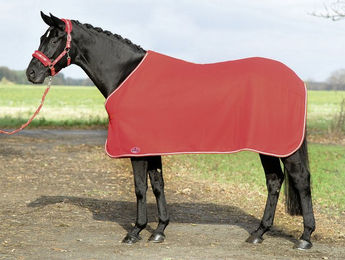 Produktbild von Busse Abschwitzdecke Show