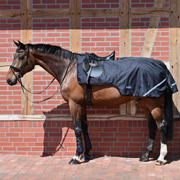 Produktbild von Busse Ausreitdecke RAINTRAINER 100g