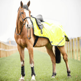 Produktbild von Busse Ausreitdecke SHINE 100g