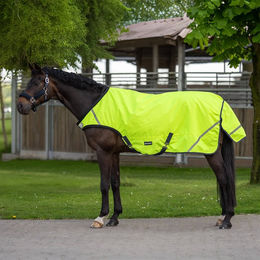 Produktbild von Busse Bewegungsdecke SHINE 50