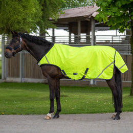 Produktbild von Busse Bewegungsdecke SHINE 50