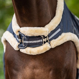 Produktbild von Busse Brusterweiterung Bewegungsdecke TRAINER