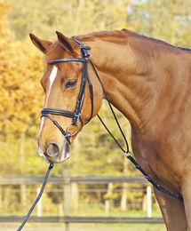 BUSSE Chambon BASIC - 1 Stück – Bild 1 von 2