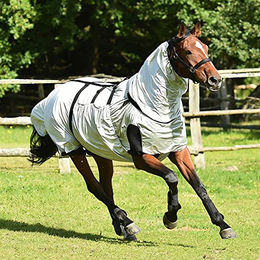 Busse Ekzemerdecke STRONG - Silber – Bild 1 von 9