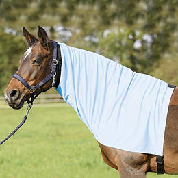 Produktbild von BUSSE everline Ekzemer Halsteil EXTENSIVE - 1 Stk.