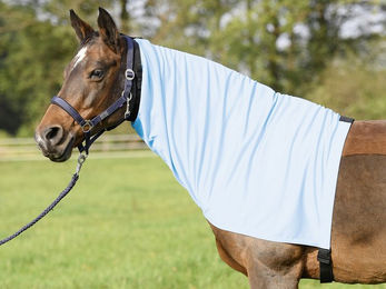 Produktbild von BUSSE everline Ekzemer Halsteil EXTENSIVE