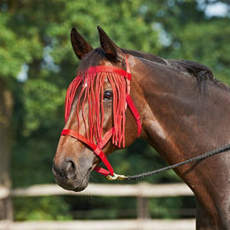 Busse everline Halfter WEIDE-FRANSEN, rot, Warmblut – Bild 1 von 3