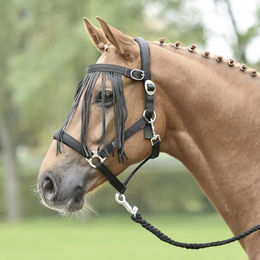 Busse Fliegenfransen Tampere – Bild 1 von 4