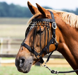 Produktbild von Busse Fliegenkordelband EXKLUSIV