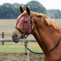 Produktbild von Busse Fliegenkordelband EXKLUSIV