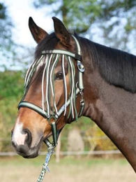 Busse Fliegenkordelband VISBY – Bild 1 von 2