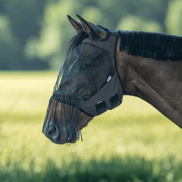 Produktbild von BUSSE Fliegenmaske Fly Guard FR Free, schwarz - VB