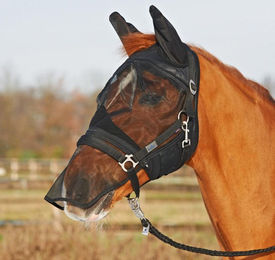 Busse Fliegenmaske FLY PROTECTOR – Bild 1 von 5