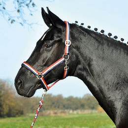 Produktbild von Busse Halfter Supreme