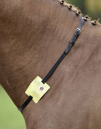 Produktbild von Busse Halsriemen Reitkennzeichen