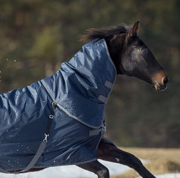 Produktbild von Busse Halsteil Flexible Pro 100g - navy (grau) - 100 g